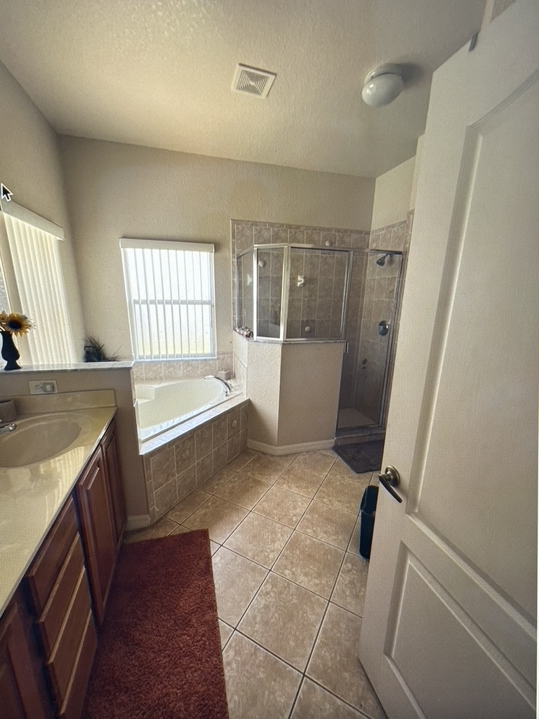 Master Bathroom 1